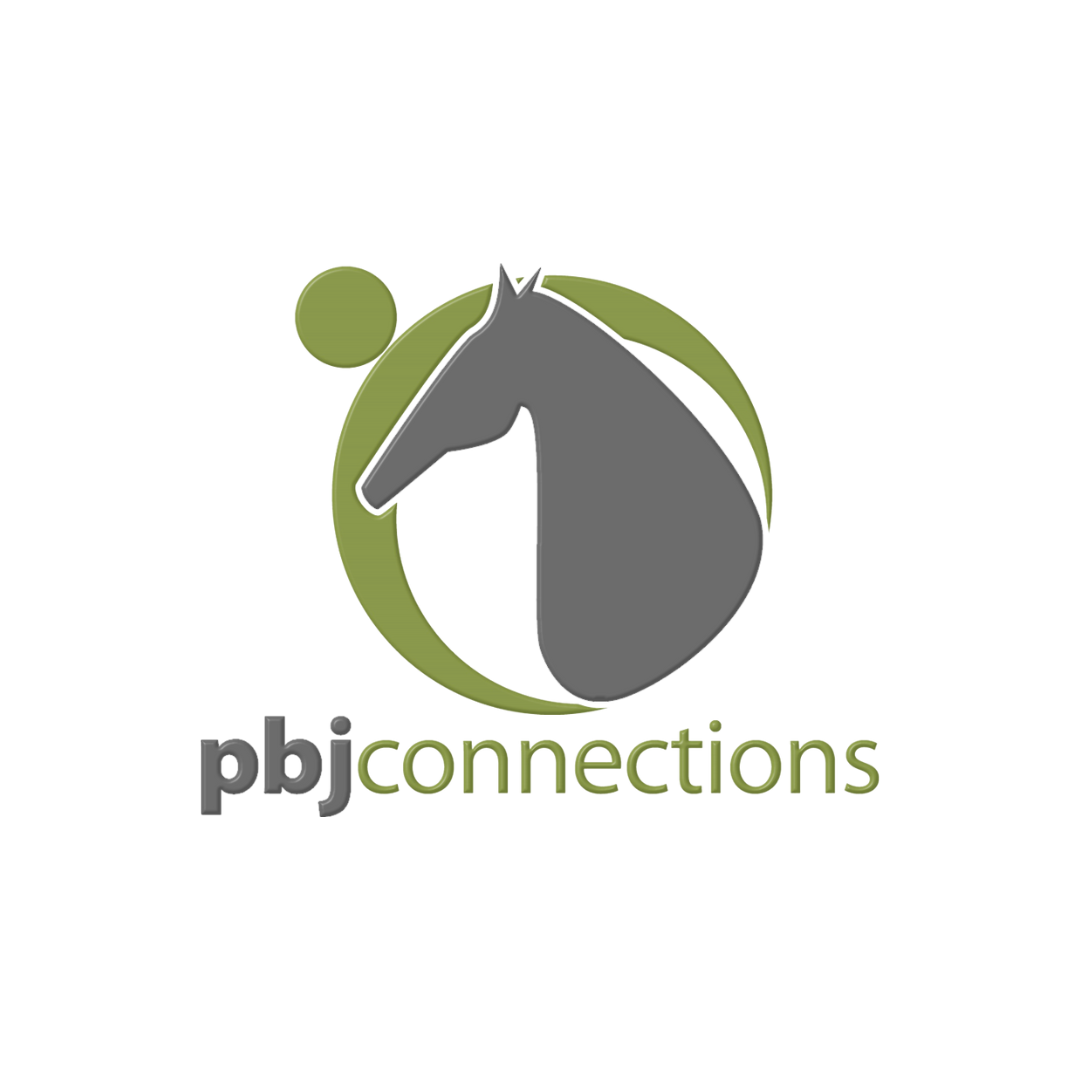BIPOC Adult Horse Camp - logo